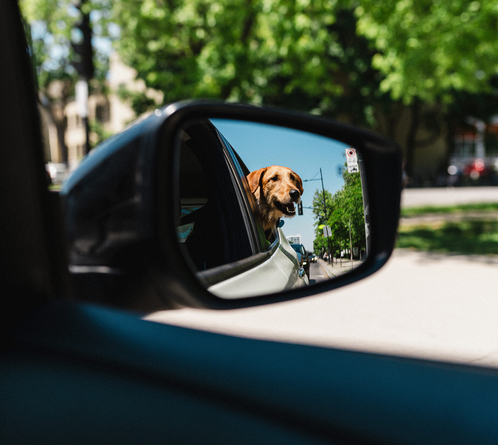 09 2 PEEK Vanessa Bourque