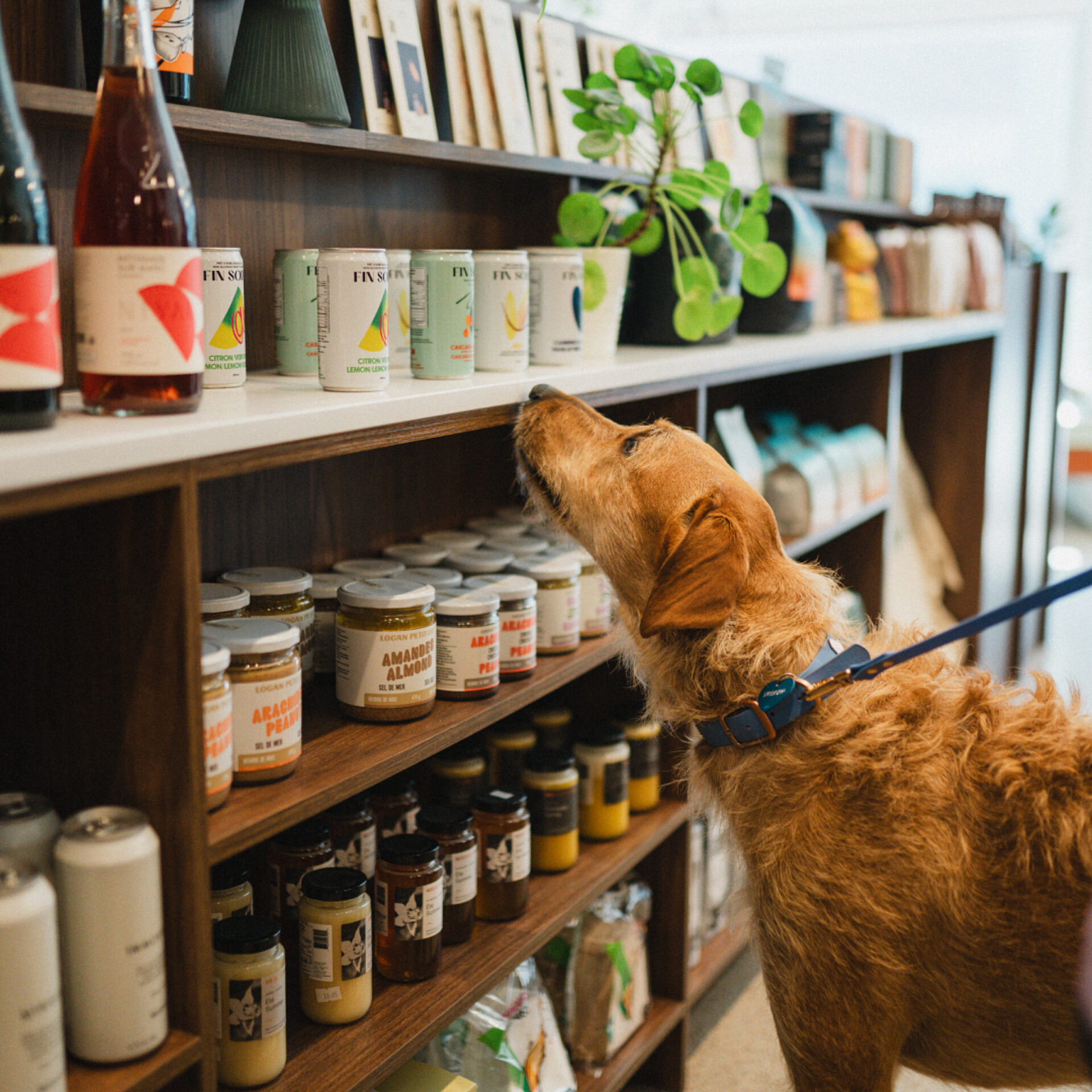 06 1 PEEK Vanessa Bourque