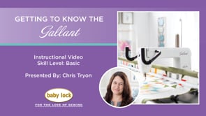 Getting to Know the Gallant