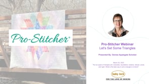 Pro-Stitcher Webinar - Let's Set Some Triangles 