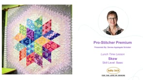 Pro-Stitcher Premium and Skew Lunch Time Lesson 