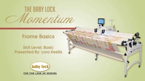 Momentum Frame Basics