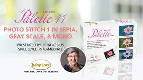 Palette 11 - Photo Stitch 1 in Sepia, Gray Scale, and Mono