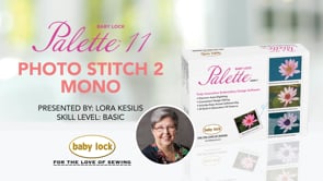 Palette 11 - Photo Stitch 2 Mono