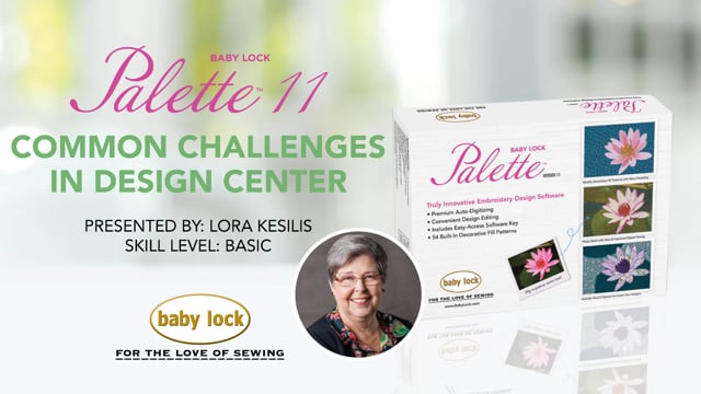 Palette 11 - Common Challenges in Design Center