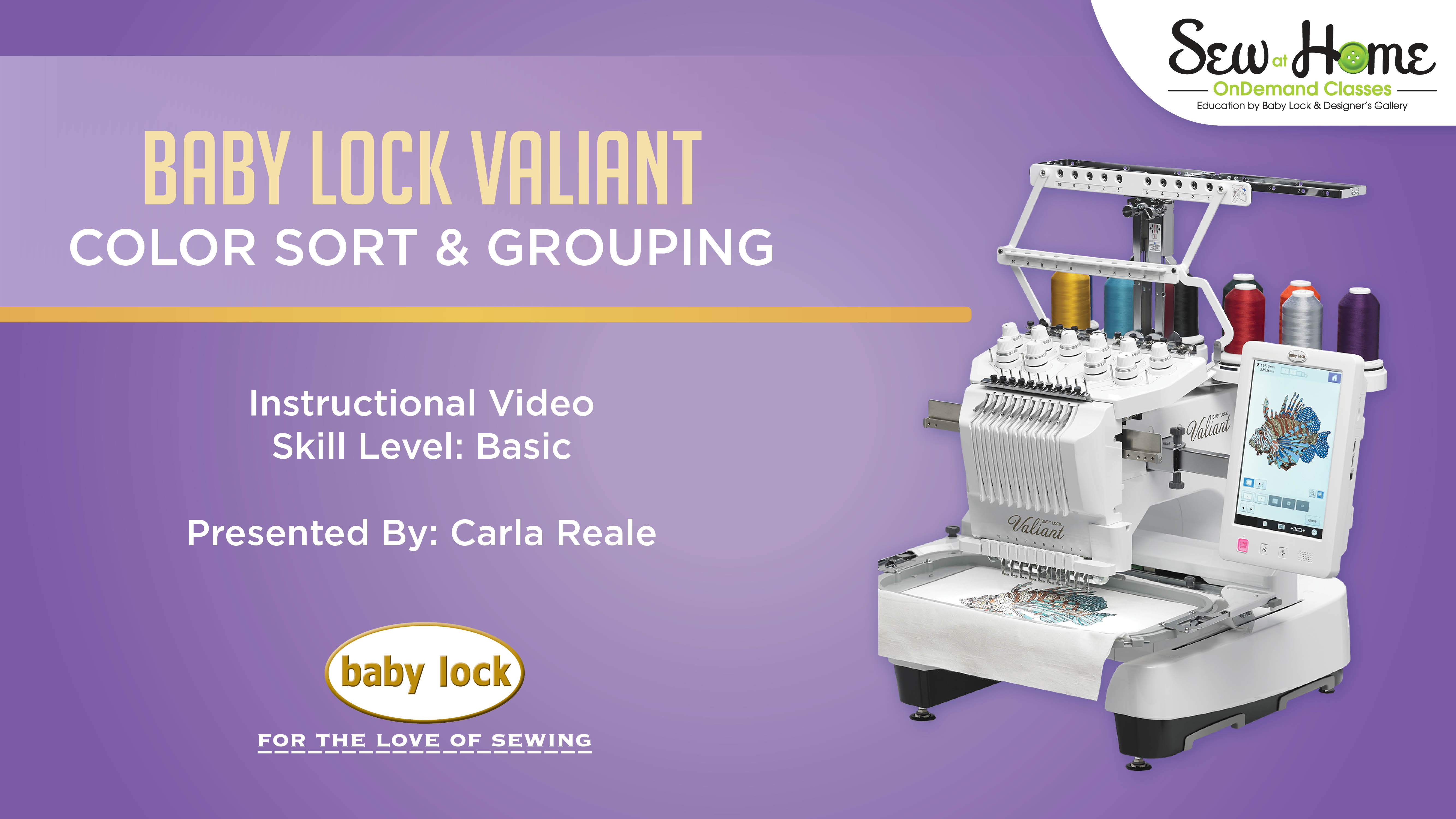 Valiant - Color Sort and Grouping