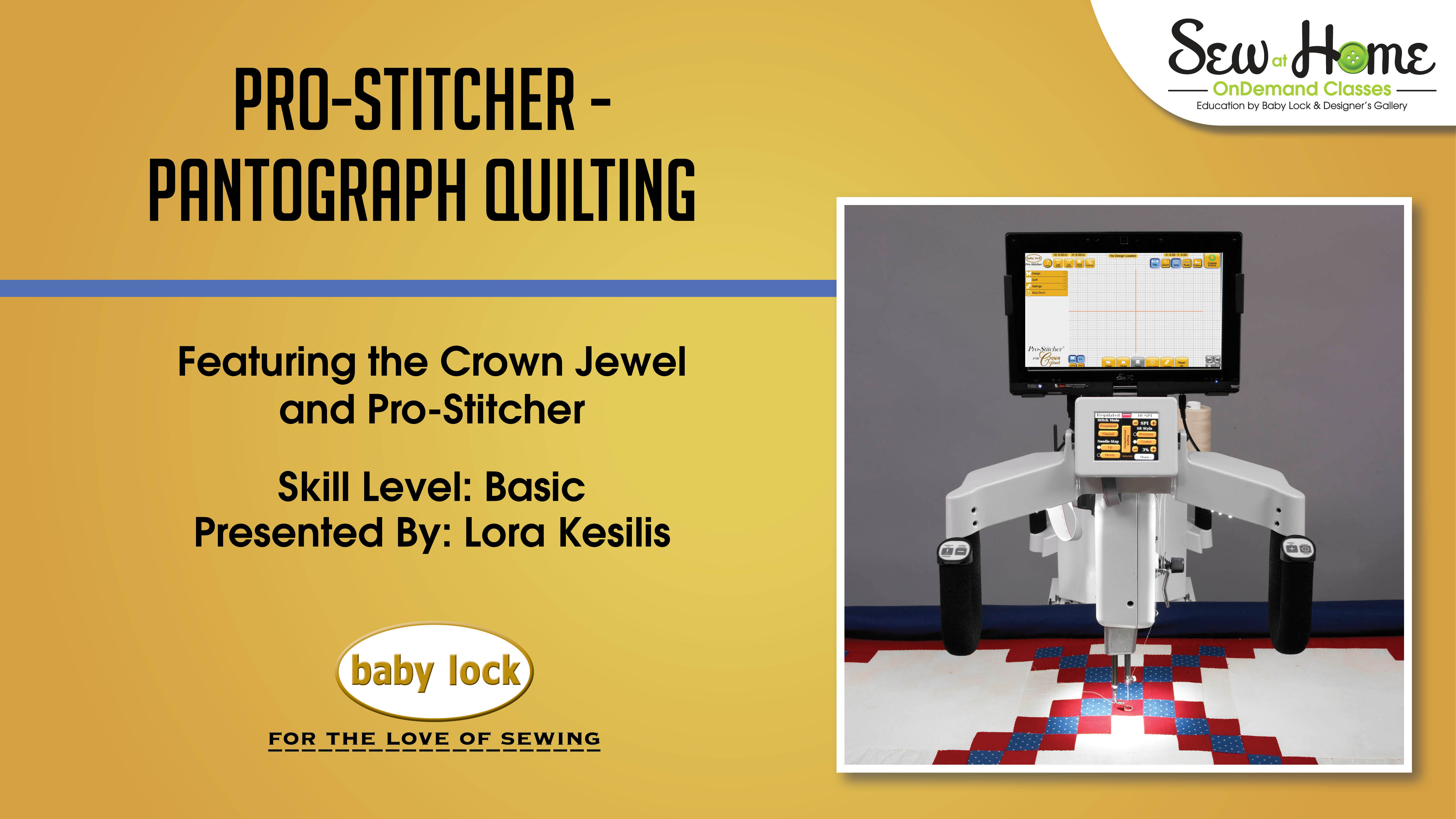Pro-Stitcher Pantograph Quilting