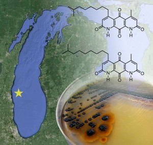 Compounds from Lake Michigan play a key role in the drug discovery efforts of Chicago-based researchers