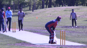 Growth of cricket in Chicago
