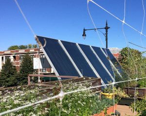 The restaurant Uncommon Ground has five solar thermal panels that provide 10 percent of its overall energy needs.