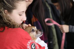 Tourist cuddling a dog