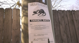 A rat warning sign