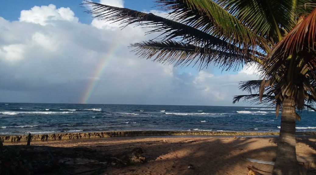 Wallpaper Reflections From Puerto Rico Rebuilding Resilience And Free HD