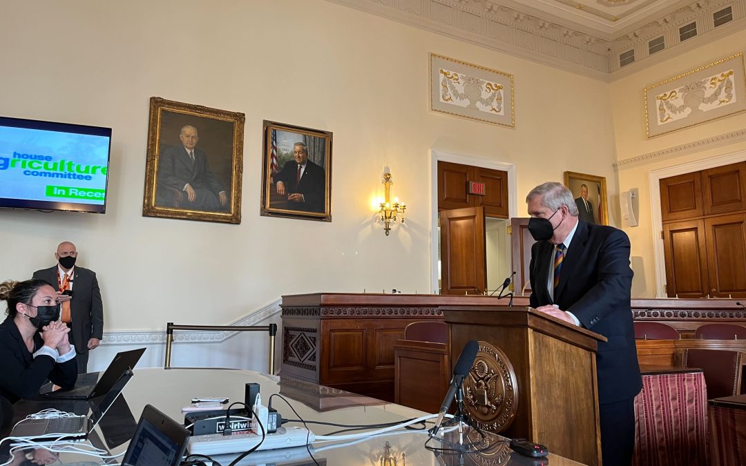 Dollars for small-scale ranchers, jabs for pigs at livestock hearing