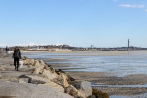 PTown Monument Beach Clean