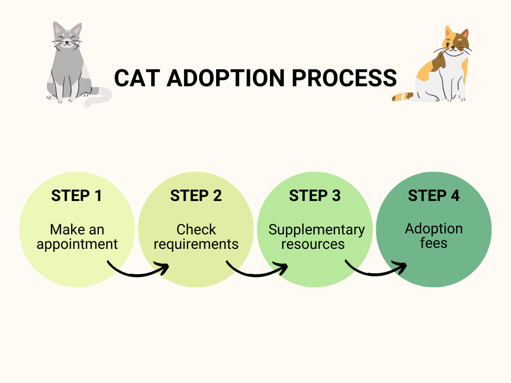 to the Tree House, the Chicago shelter where ‘every cat thrives