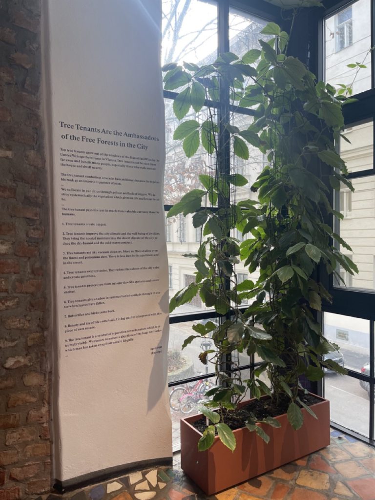 A green corner with a tree at Kunst Haus Wien