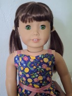 American Girl doll with pigtails
