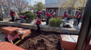 Volunteers gardening at San Francisco school