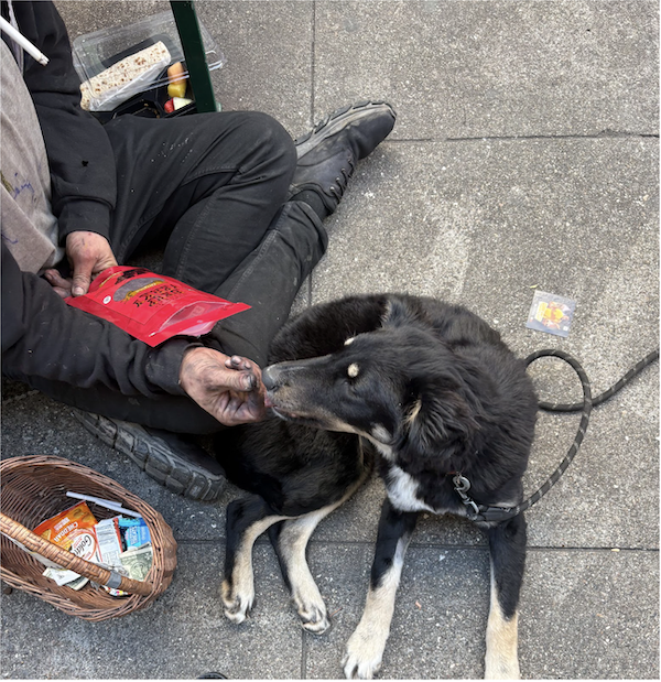 Super Bowl LX illuminates reality of San Francisco’s homelessness crisis