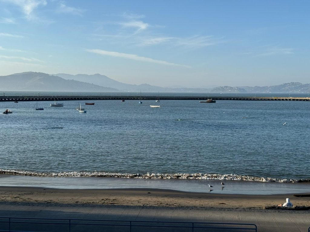Boats on San Francisco Bay near a beach
