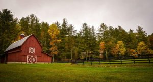 Red barn with white trim in a green meadow
