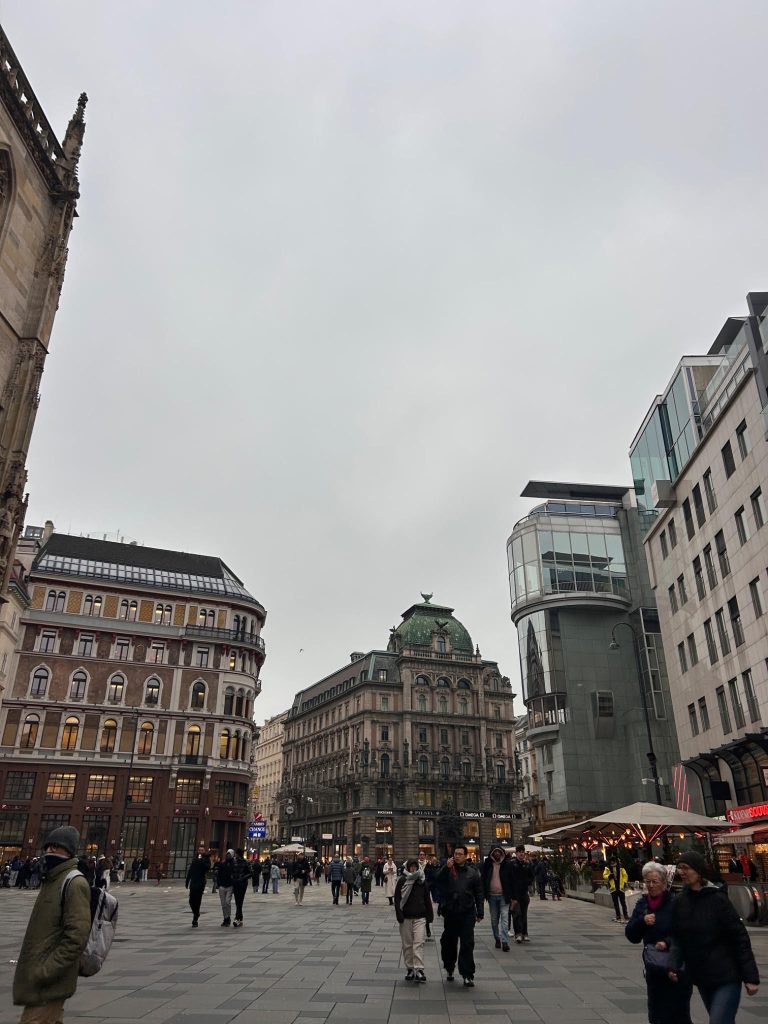 Vienna street scene with historic buildings