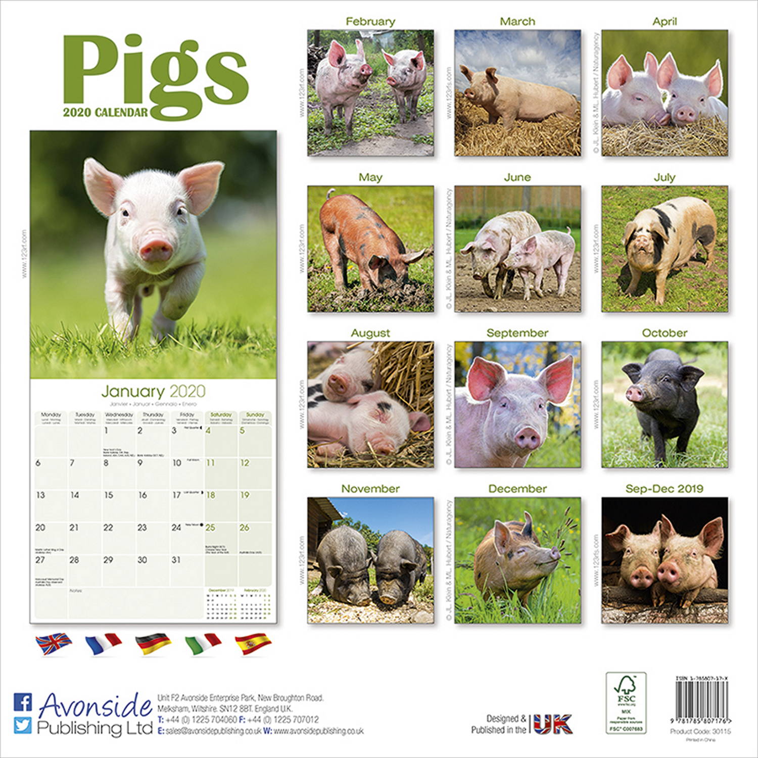 Pigs Calendar 2020 Pet Prints Inc.