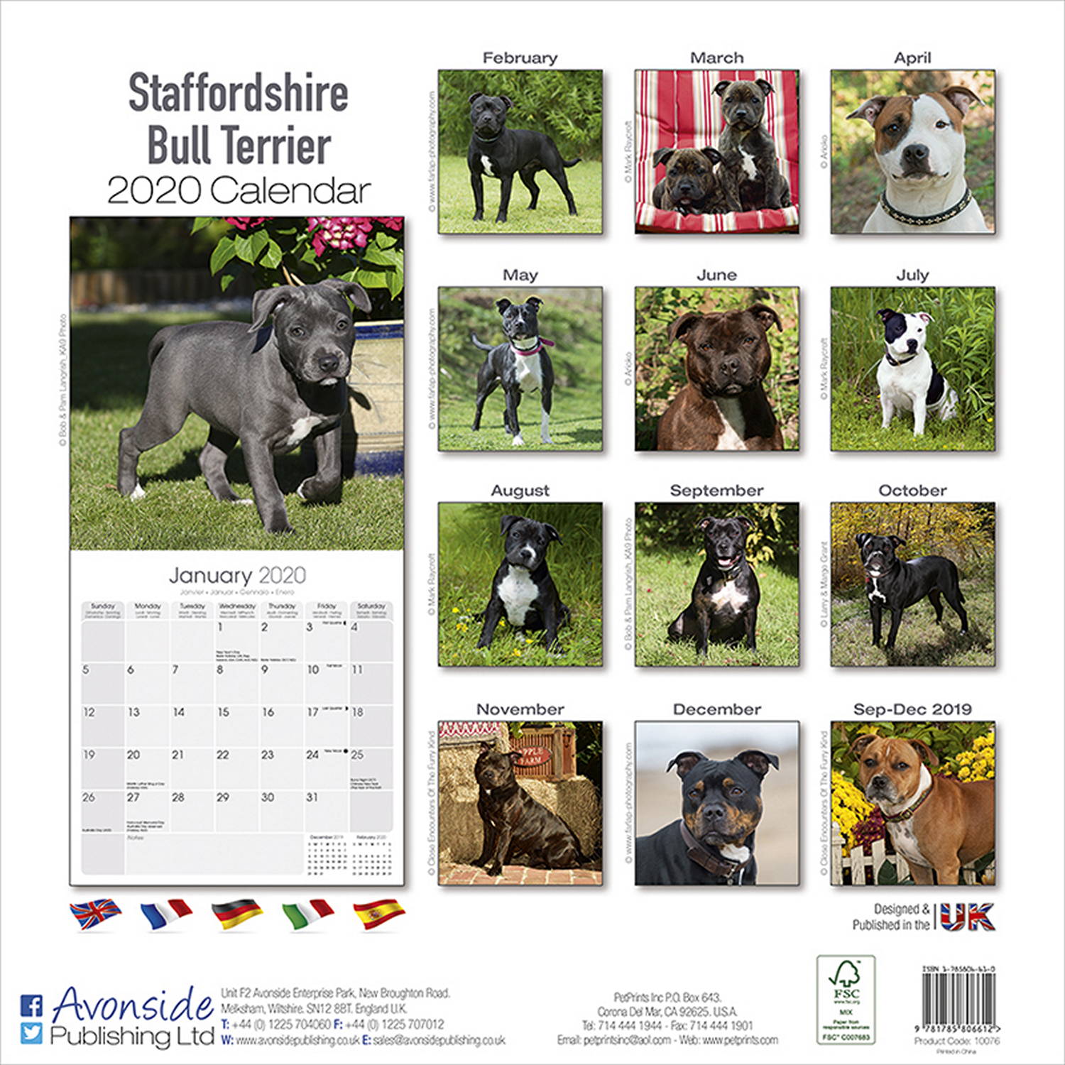 Staffordshire Bull Terrier Calendar 2020 Pet Prints Inc.