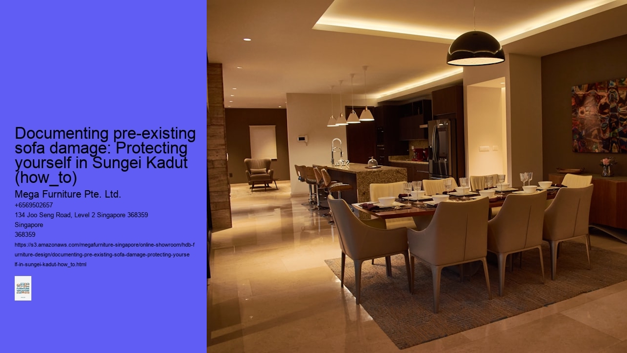 Documenting pre-existing sofa damage: Protecting yourself in Sungei Kadut (how_to)