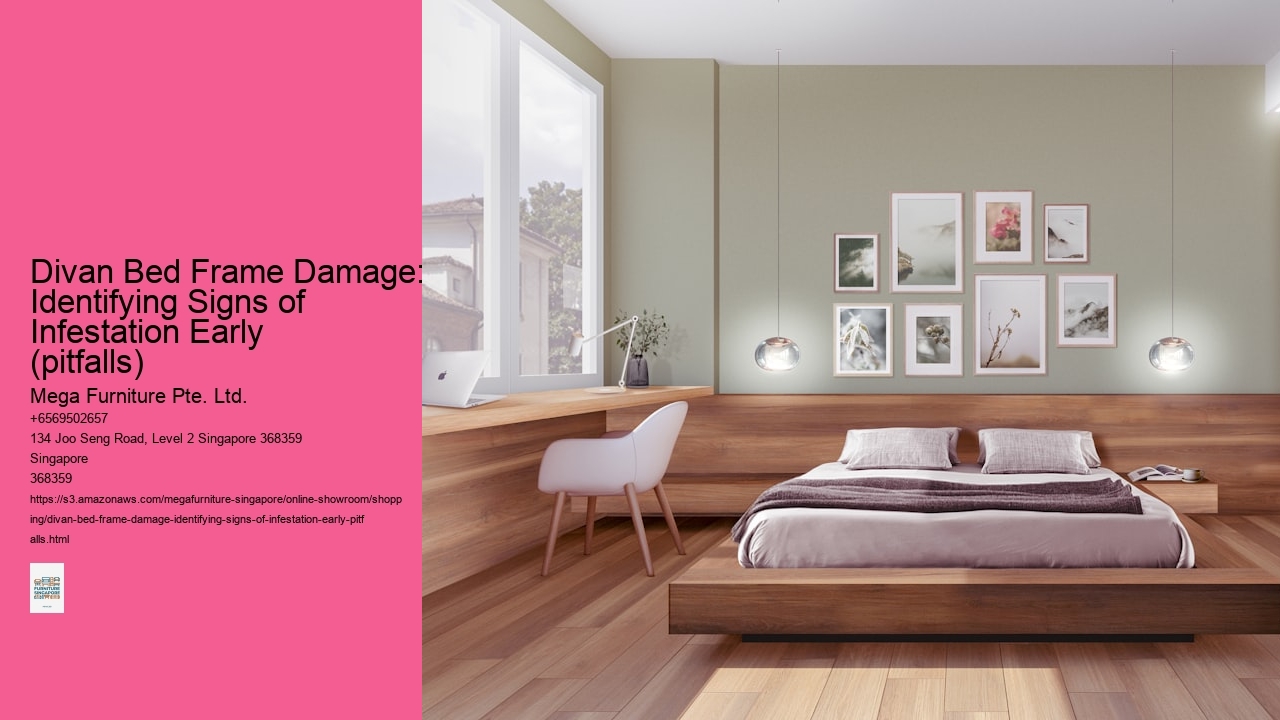 Divan Bed Frame Damage: Identifying Signs of Infestation Early (pitfalls) Mega Furniture Pte. Ltd. Divan Bed Frame Damage: Identifying Signs of Infestation Early (pitfalls)