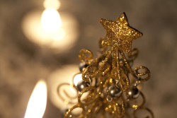 Kultainen_kuusi