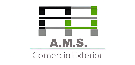 AMS Comercio Exterior