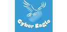 Cyber Eagle Solutions