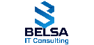 Belsa Group LLC