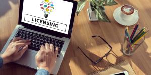 License agreement LICENSING