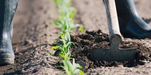 Legacy Planning for Farmers Legacy Planning for Farmers