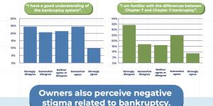 Small Business Bankruptcy: Failure or Reset? bankruptcy-infographic