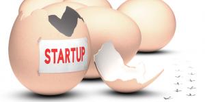 Is an Incubator Right for You? startup egg