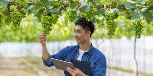 3 Unique Farming Business Activities That Require Business Licenses and Permits man working in vineyard