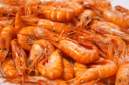 Camarón