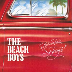 The Beach Boys - Carl And The Passions/ Holland - CDs