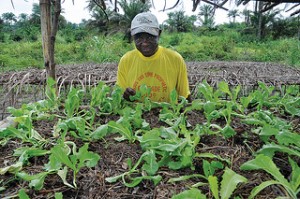 Agriculture