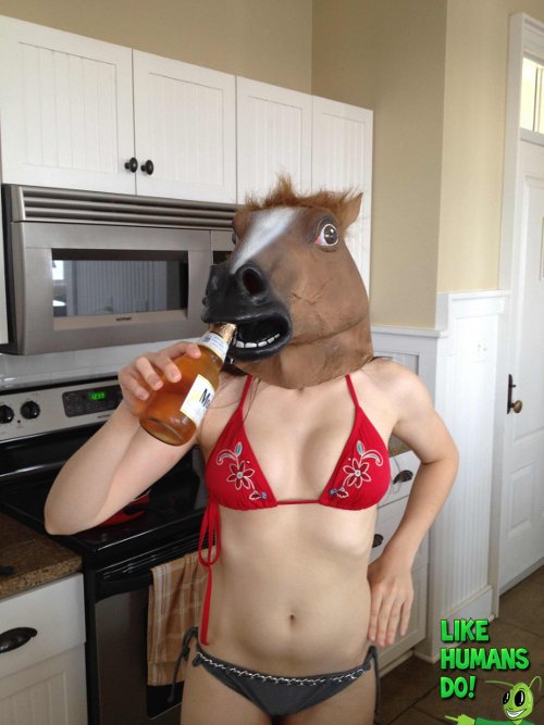 Funny Horse Costume