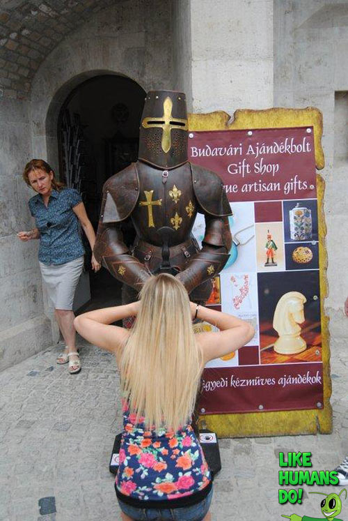 Funny Knight Pic