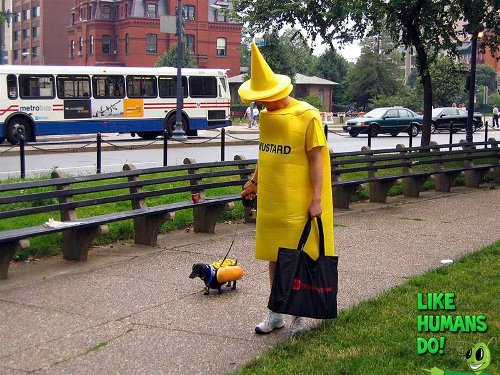 Funny Mustard Costume