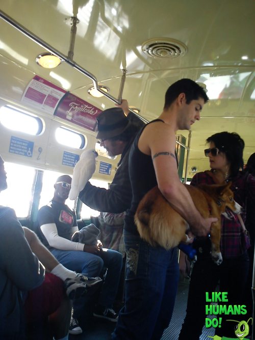 Funny People On Bus