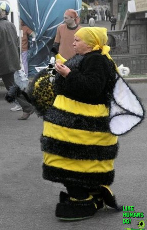 Bumblebee Costume