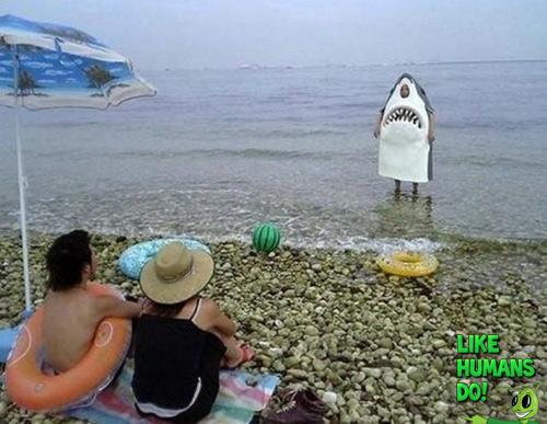 Shark at Sea Costume