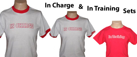 inchargeandintrainingsets1copy